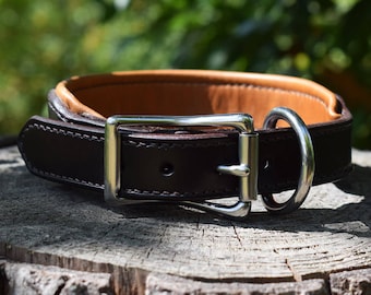 Wide Padded Leather Dog Collar - size M