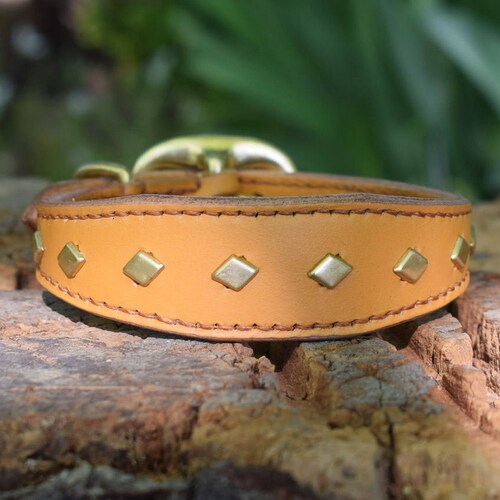 Studded hotsell Leather Dog Wide Collar with Diamond Brass Studs - size S