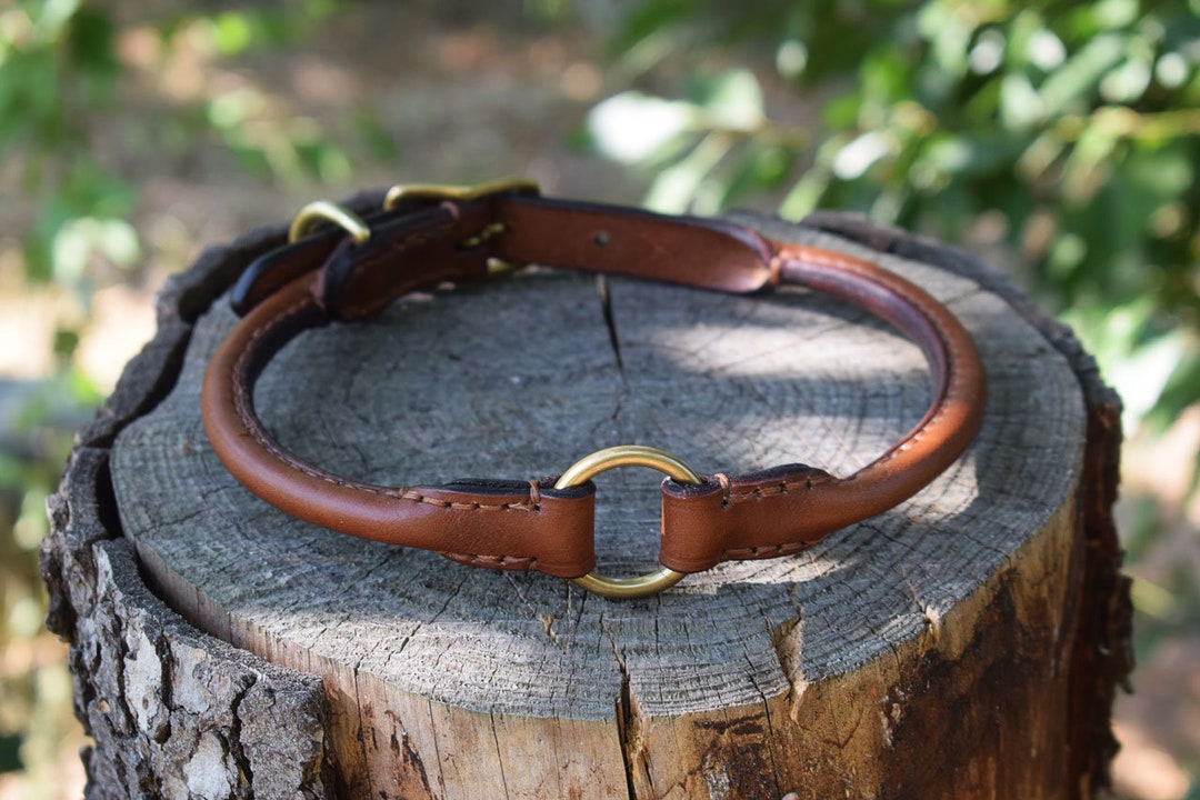 Picture of Rolled Leather Dog Safety Collar Size M - Etsy