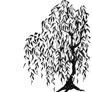 Four Seasons Summer Fall Winter Spring Tree Print