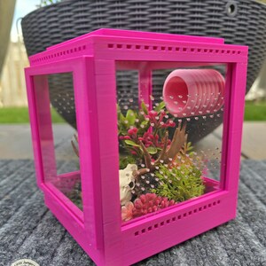 May include: A bright pink terrarium with clear glass panels. Inside, there's a miniature landscape with plants, a small skull, and a pink tunnel. The terrarium sits on a gray surface, with a blurred background of greenery and a flower pot.