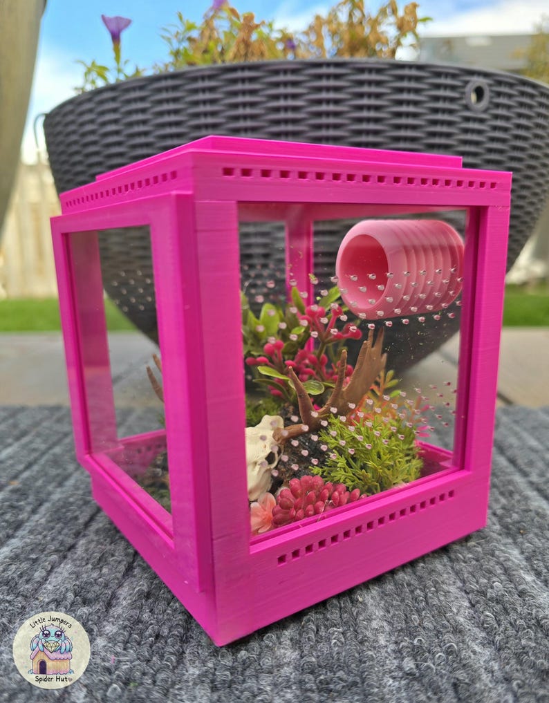May include: A bright pink terrarium with clear glass panels. Inside, there's a miniature landscape with plants, a small skull, and a pink tunnel. The terrarium sits on a gray surface, with a blurred background of greenery and a flower pot.