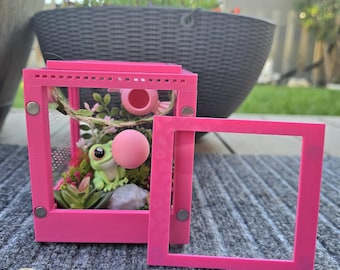 4x4x4 Bubblegum Frog Enclosure