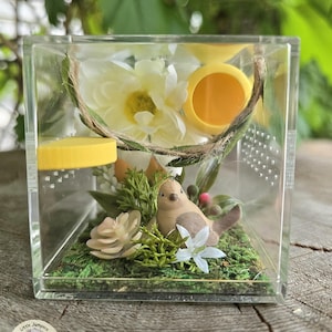Birdy Sling Enclosure