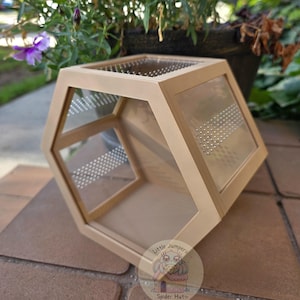 Peut inclure: Un terrarium g&eacute;om&eacute;trique beige avec des panneaux transparents perfor&eacute;s. Le terrarium a une forme hexagonale et est con&ccedil;u pour les petits animaux. L'image comprend un logo qui dit "Little Jumpers Spider Hut".