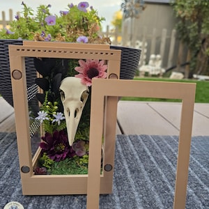 4"×4"×6" Raven Skull Enclosure