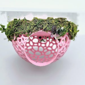 Puede incluir: Un macetero colgante esférico de encaje rosa con una parte superior de musgo verde.