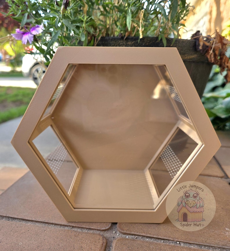 Peut inclure: Un terrarium hexagonal beige avec des panneaux transparents et des trous de ventilation. Le terrarium poss&egrave;de une petite &eacute;tag&egrave;re int&eacute;gr&eacute;e et un logo d&eacute;coratif qui dit "Little Jumpers Spider Hut". Con&ccedil;u pour les petits animaux.