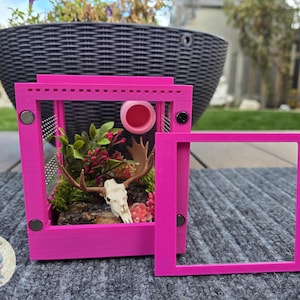 May include: A bright pink terrarium with a deer skull and faux plants inside. The terrarium has a removable frame and a small pink dish. The terrarium is sitting on a gray surface.