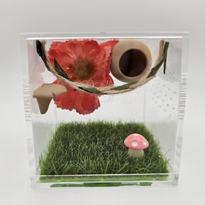Mushroom Sling Enclosure