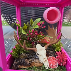 May include: A pink terrarium with a decorative interior. The interior features a deer skull, faux plants, and a pink water dish. The terrarium is designed for a spider or other small pet. The logo "Little Jumpers Spider Hut" is visible.
