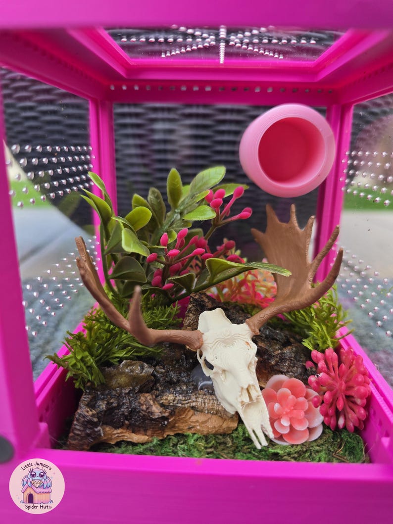 May include: A pink terrarium with a decorative interior. The interior features a deer skull, faux plants, and a pink water dish. The terrarium is designed for a spider or other small pet. The logo "Little Jumpers Spider Hut" is visible.