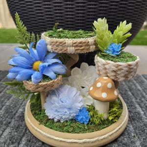 Springende Spinnen-Spielplätze