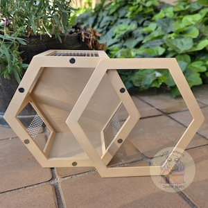Peut inclure: Un terrarium hexagonal beige avec un panneau avant transparent et une porte amovible. Le terrarium poss&egrave;de une zone de ventilation en maille et est maintenu ensemble par de petits aimants noirs. Le design est g&eacute;om&eacute;trique et moderne, adapt&eacute; aux petits animaux.