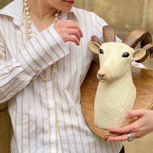 May include: A cream-coloured ram head sculpture with dark brown horns mounted on a wooden plaque. The ram has black eyes and a textured surface. The sculpture is held by a person wearing a striped shirt and pearl necklace.