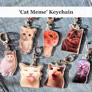 Chat Meme Tiktok viral drôle porte-clés | Pendentif porte-clés chats mignons | Cadeau drôle de chats pour amoureux des chats | Huh Cat, Crunchy Cat, Cadeau de chat qui pleure