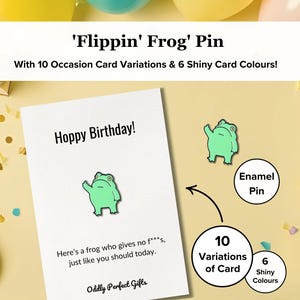 Grappig emaille pin kikker met middelvinger | Speldje rebelse kikker, broche cadeau voor een vriend | Grappig leuk cadeau Froggin | Fijne verjaardag