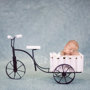 Instant Download Photography Prop Bicycle Garden Cart DIGITAL BACKDROP for Photographers image 1