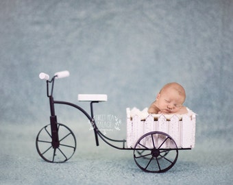 Instant Download Photography Prop -- Bicycle Garden Cart -- DIGITAL BACKDROP for Photographers