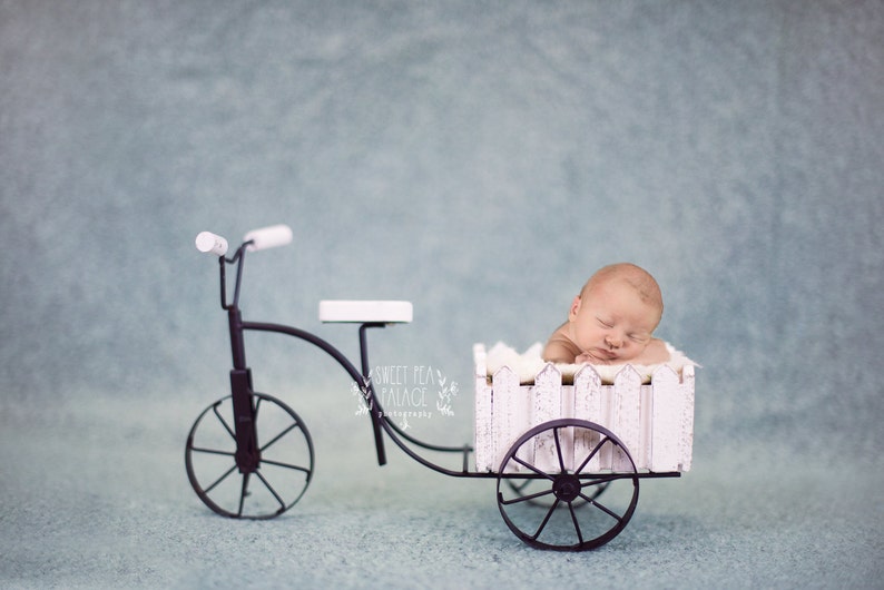 Instant Download Photography Prop Bicycle Garden Cart DIGITAL BACKDROP for Photographers image 1
