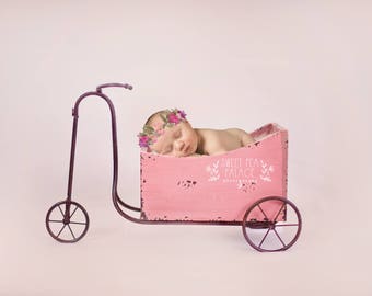 Newborn Baby Child Photography Prop Digital Backdrop for Photographers Pink Garden Cart