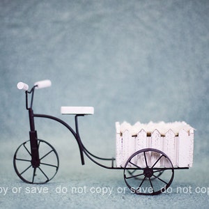 Instant Download Photography Prop Bicycle Garden Cart DIGITAL BACKDROP for Photographers image 2