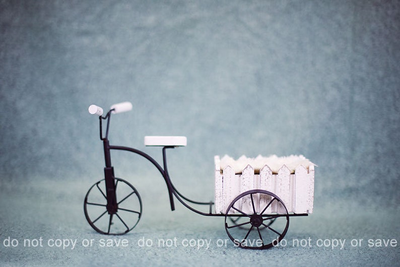 Instant Download Photography Prop Bicycle Garden Cart DIGITAL BACKDROP for Photographers image 2