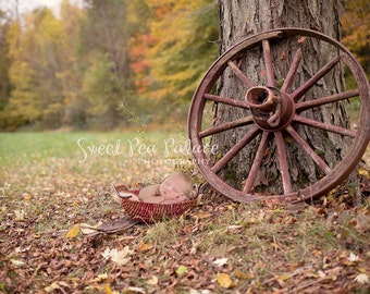 Instant Download Photography Prop Autumn Blessings DIGITAL BACKDROP for Photographers