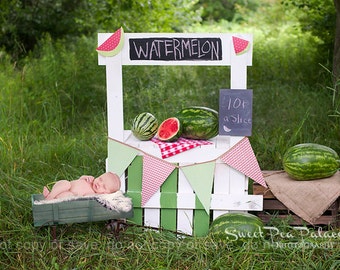 Newborn Baby Child Photography Prop Digital Backdrop for Photographers Watermelon Stand