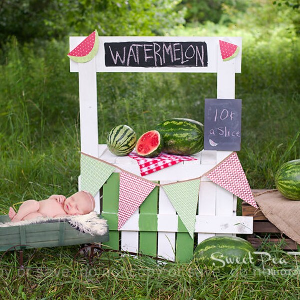 Newborn Photography Stand Etsy