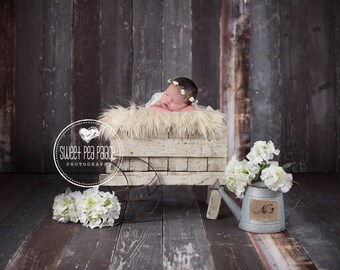 Baby Toddler Child Photography Prop Digital Backdrop for Photographers -No. 2 Wagon DIGITAL Backdrop