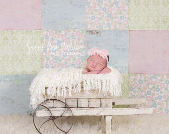Baby Toddler Child Photography Prop Digital Backdrop for Photographers -Spring Flower Cart DIGITAL Backdrop