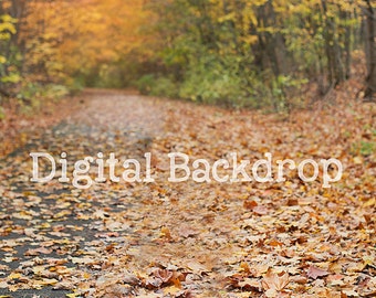 Instant Download DIGITAL BACKDROP for Photographers -FALL Leaves Path