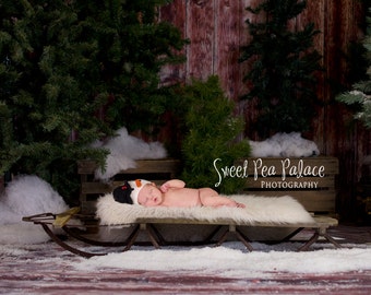 Newborn Baby Child Photography Prop Digital Backdrop for Photographers -Christmas Holiday - Sled Ride