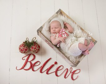 Instant Download Photography Prop -- Believe in Christmas -- DIGITAL BACKDROP for Photographers