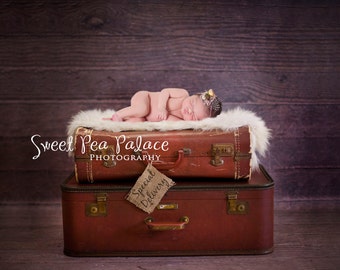 Newborn Baby Photography Prop Digital Backdrop for Photographers Vintage Suitcase Special Delivery