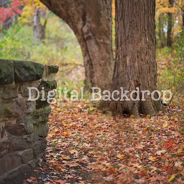 Instant Download DIGITAL BACKDROP for Photographers -FALL Leaves Wishing Well