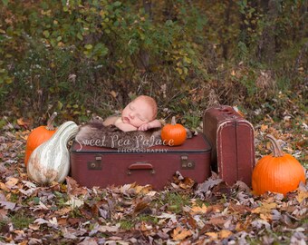 Newborn Baby Child Photography Prop Digital Backdrop for Photographers -Fall Pumpkins