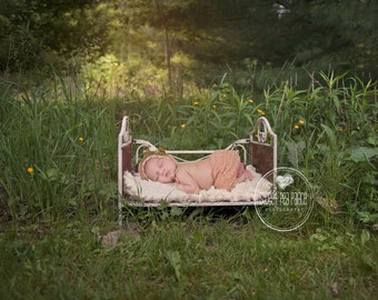 Instant Download Photography Prop DIGITAL BACKDROP for Photographers -Garden Bed - Digital Background