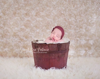 Newborn Baby Photography Prop Digital Backdrop for Photographers -Shabby Roses