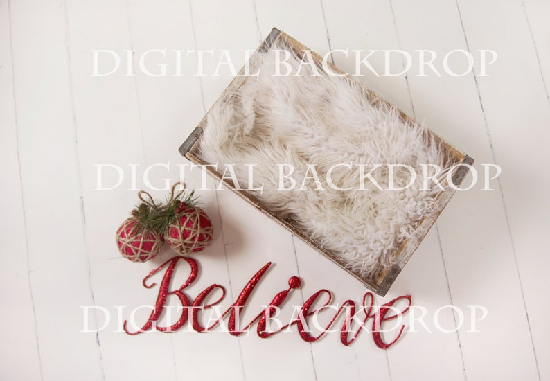 Instant Download Photography Prop Believe in Christmas DIGITAL BACKDROP for Photographers image 2