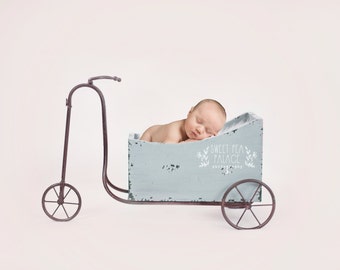 Instant Download Photography Prop Blue Garden Cart DIGITAL BACKDROP for Photographers