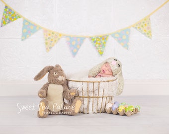 Instant Download DIGITAL BACKDROP for Photographers -Easter Egg Basket