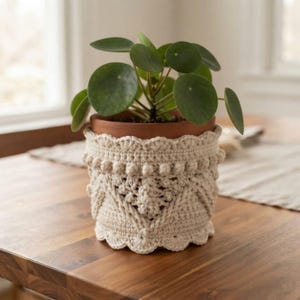 May include: A Pilea peperomioides plant with round green leaves sits in a terracotta pot covered by a cream-coloured crocheted cosy. The cosy features a textured pattern with bobble stitches and a scalloped bottom edge around the base.
