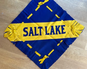 Salt Lake wool Felt Pillow Cover Chicago Pennant Co. Rare VINTAGE by Plantdreaming
