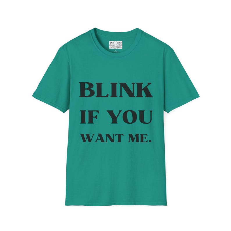 Kenny Powers Funny T-Shirt, Eastbound and Down Tee, Unisex Softstyle Shirt, Free Shipping, Blink If You Want Me, Funny TV Quote image 9