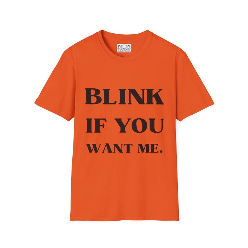 Kenny Powers Funny T-Shirt, Eastbound and Down Tee, Unisex Softstyle Shirt, Free Shipping, Blink If You Want Me, Funny TV Quote image 7