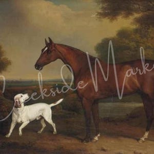 Horse and Dog
