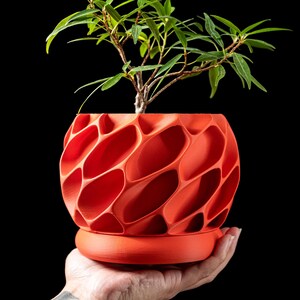 May include: A bright orange, 3D printed planter with a unique honeycomb design. The planter is holding a small green plant and is being held in a person's hand.