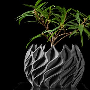 May include: A gray, 3D printed planter with a wavy, organic design. A small green plant is growing inside the planter.